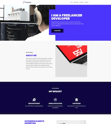 Freelancer